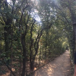 Boboli Gardens