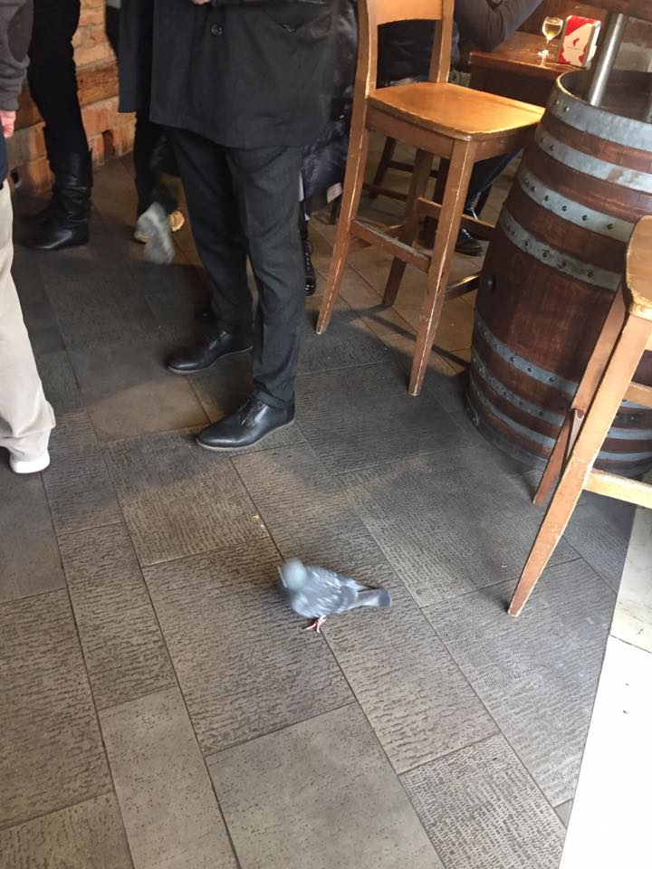 23559485_10102558467931936_976235435299924959_n