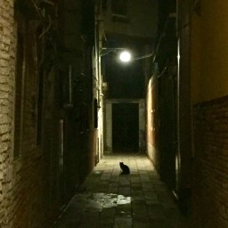 Venice, Night 2: Venetian Ghost Tales and Squid Ink Pasta