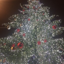 Christmas In Florence