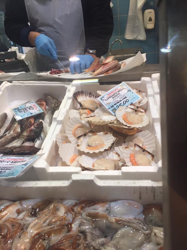 23915555_10102579767128176_3945715993212008599_n