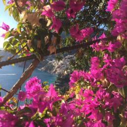 Down The Mountain To Positano