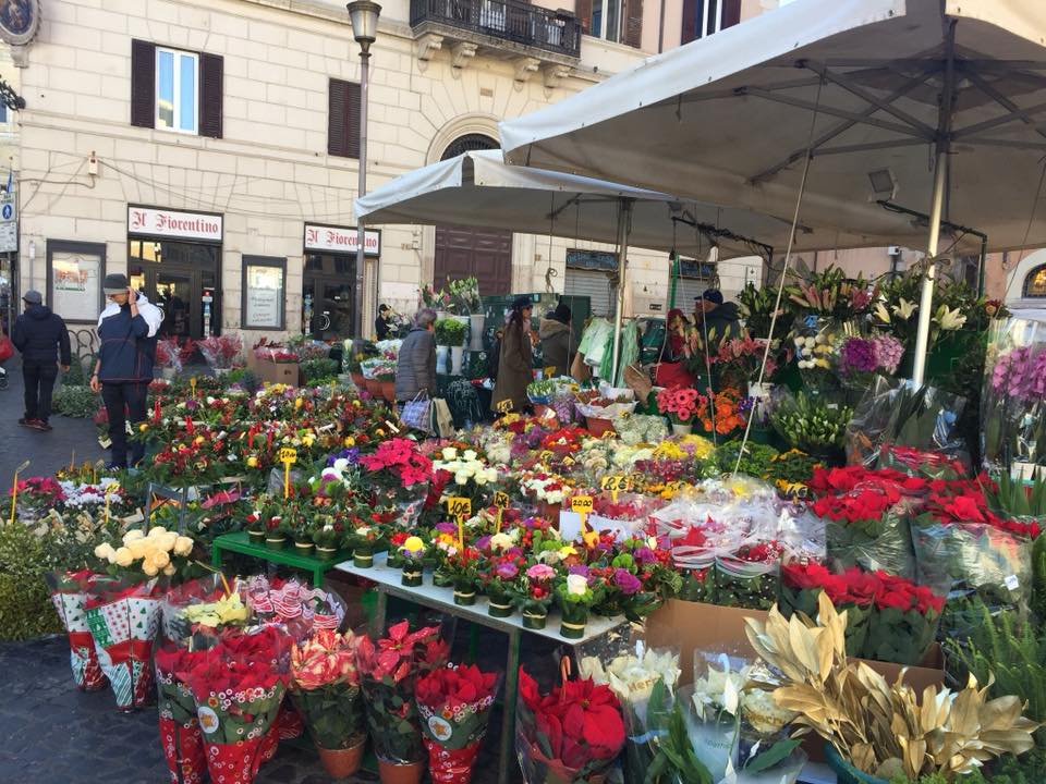 26219667_10102649226271496_6801411491973158985_n