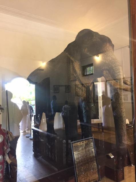 26904605_10102664972555816_551541638736182903_n