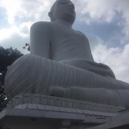 A Big Buddha and Paratha Fry