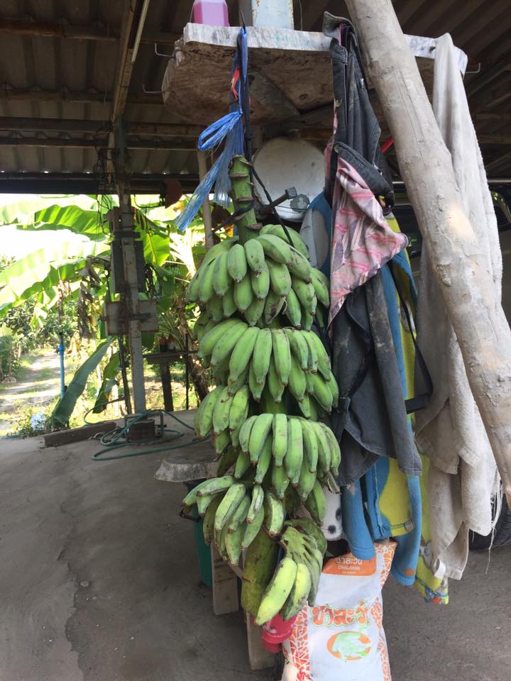 27332022_10102665045853926_6404855370530140065_n