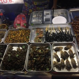 Partying on Khaosan Road