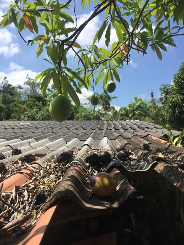 27972558_10102704481913746_68195780663986367_n