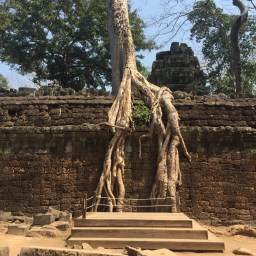 Angkor Wat: Day 2