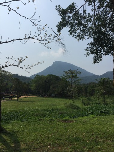 Photo Mar 02, 10 34 52 PM